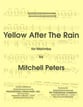 YELLOW AFTER THE RAIN MALLET SOLO cover